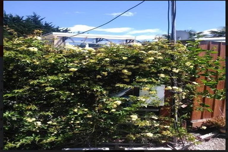 Photo of property in 52 Kuku Street, Te Awanga, 4102