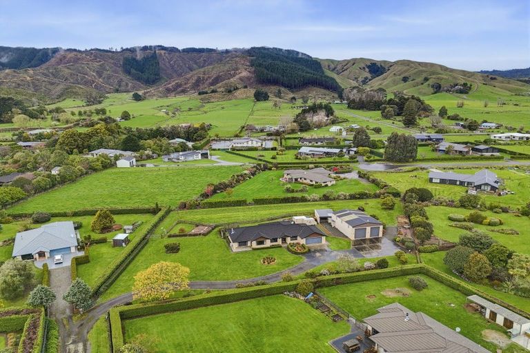 Photo of property in 53 Pohutukawa Drive, Levin, 5571