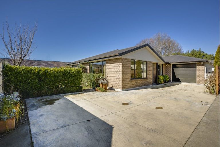 Photo of property in 307b Windsor Avenue, Parkvale, Hastings, 4122