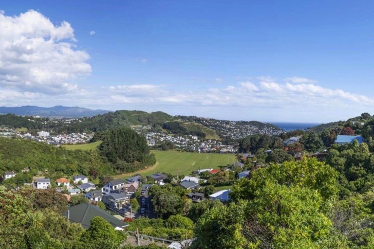 Photo of property in 41 Mana Street, Vogeltown, Wellington, 6021