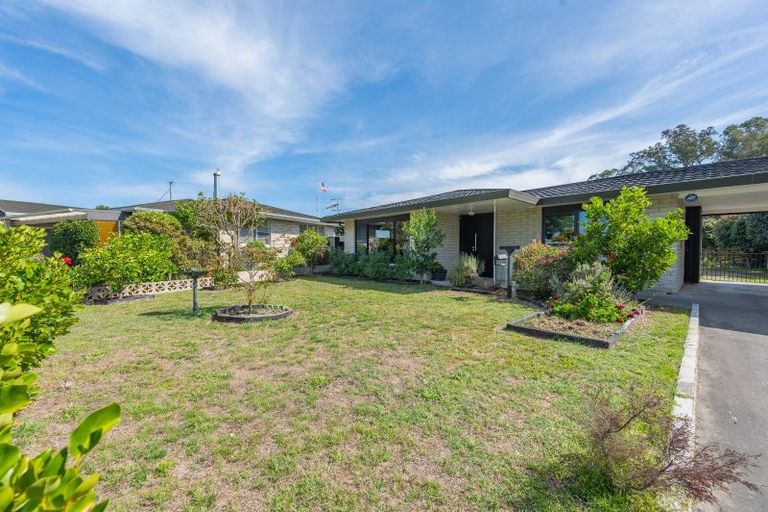 Photo of property in 173 Flaxmere Avenue, Flaxmere, Hastings, 4120