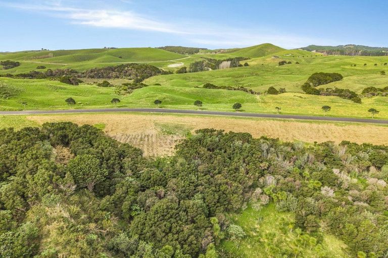 Photo of property in 51 Hinamoki Drive, Kaiwaka, 0573