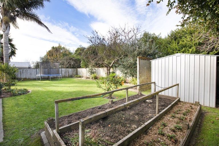 Photo of property in 19 Bucksburn Place, Greenmeadows, Napier, 4112