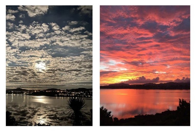 Photo of property in 49 Baycroft Avenue, Parkvale, Tauranga, 3112