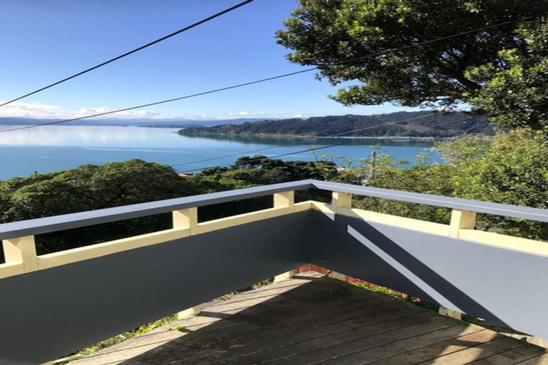 Photo of property in 111 Te Anau Road, Hataitai, Wellington, 6021