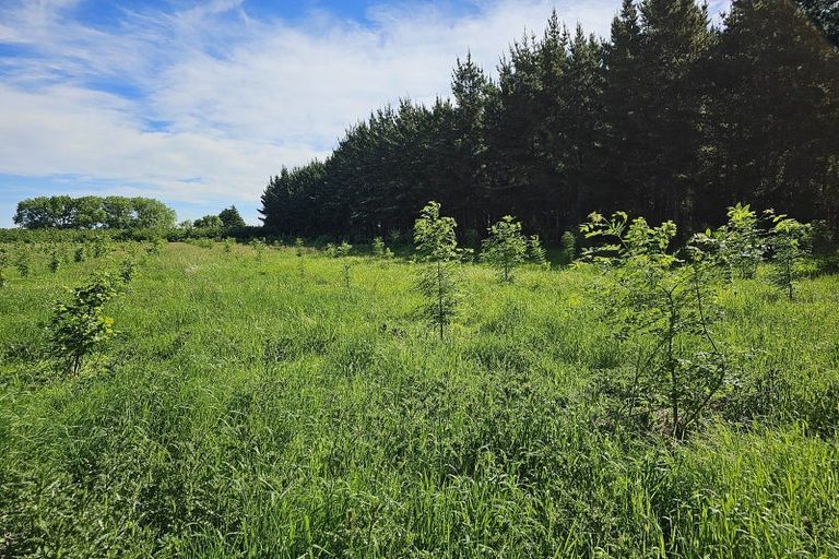 Photo of property in 577 Pesters Road, West Eyreton, Rangiora, 7475