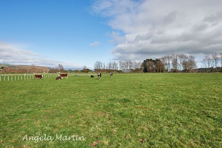 Photo of property in 1334 Napier Road, Ashhurst, 4810