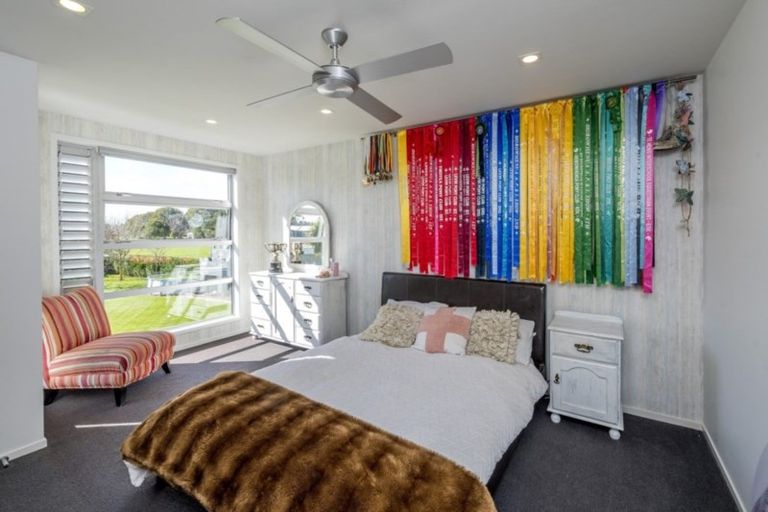 Photo of property in 24 Okarito Avenue, Levin, 5510