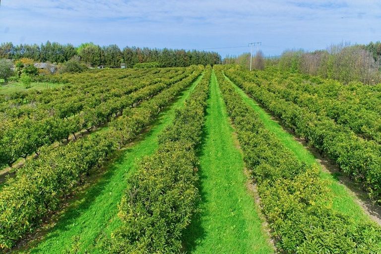 Photo of property in 19 Pilmer Road, Makauri, Gisborne, 4071