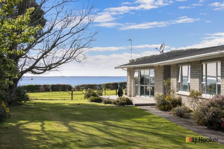 Photo of property in 294 Beach Road, Katikati, 3178