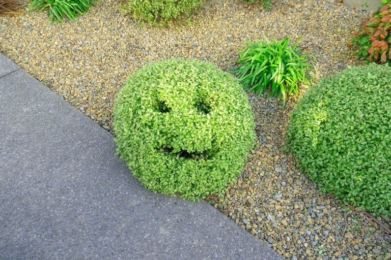 Photo of property in 18 Glendene Court, Rolleston, 7614