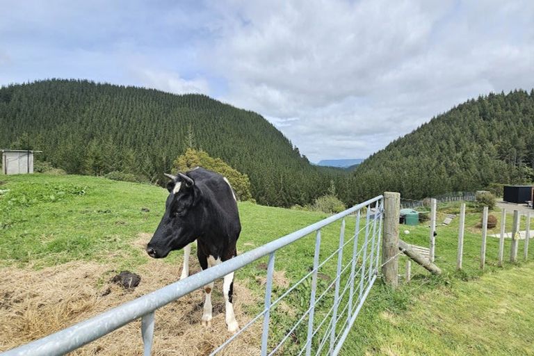 Photo of property in 9 Petes Way, Lynmore, Rotorua, 3076