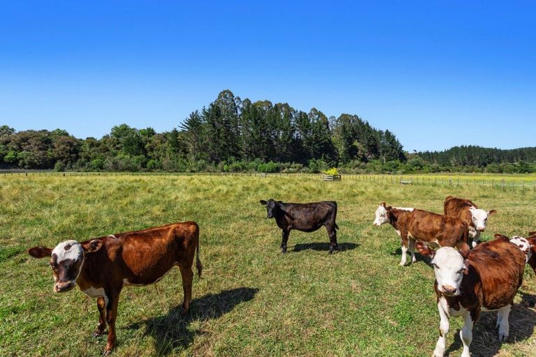 Photo of property in 2752 State Highway 30, Rotoma, Whakatane, 3192