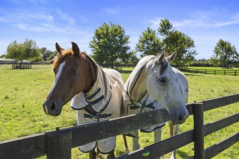 Photo of property in 330g Pencarrow Road, Tamahere, Hamilton, 3283