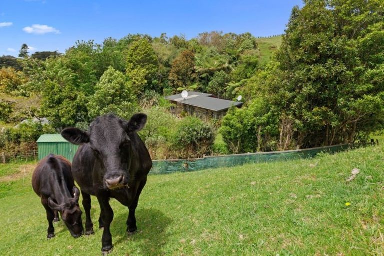 Photo of property in 1279 Manawahe Road, Manawahe, Whakatane, 3194