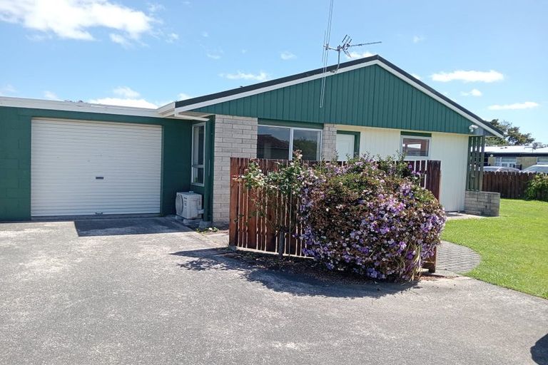 Photo of property in 12 Weka Street, Matamata, 3400