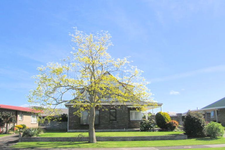 Photo of property in 21 Manuka Street, Matamata, 3400