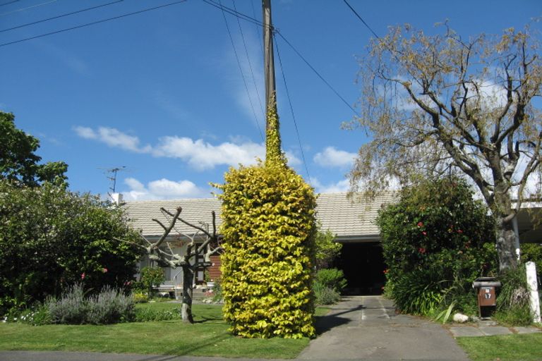 Photo of property in 17 Black Street, Stoke, Nelson, 7011