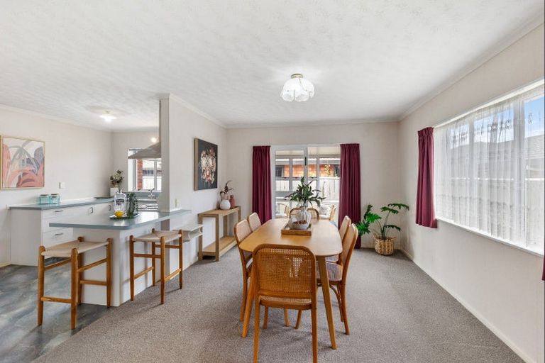 Photo of property in 18 Manchester Street, Levin, 5510