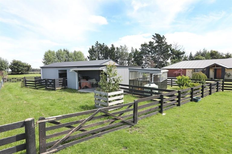 Photo of property in 255 Calico Line, Marton, 4787