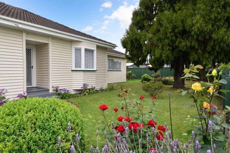 Photo of property in 53 Alfred Street, Fairfield, Hamilton, 3214