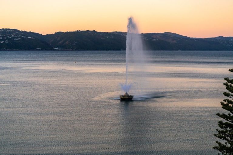 Photo of property in Broadwater Apartments, 214 Oriental Parade, Oriental Bay, Wellington, 6011
