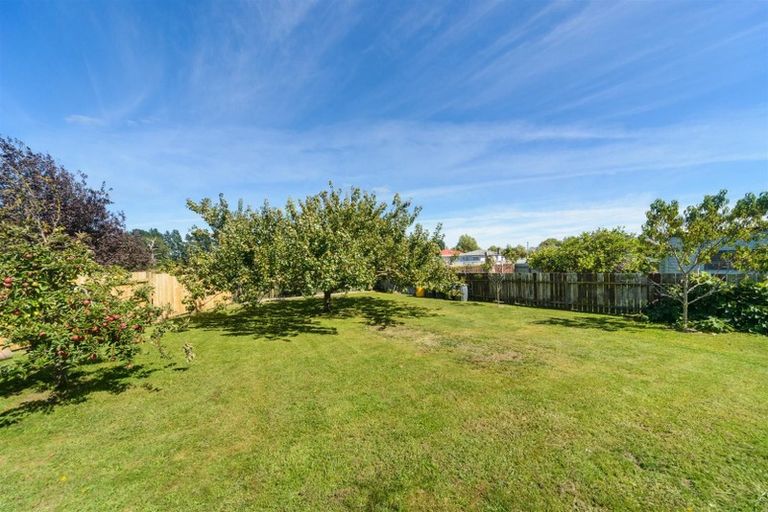 Photo of property in 28 Alexandra Street, Marton, 4710