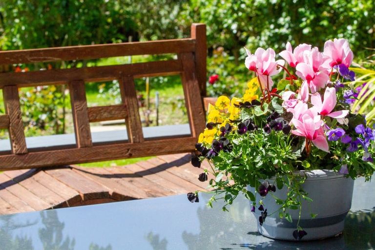 Photo of property in 9 Grosvenor Place, Katikati, 3129