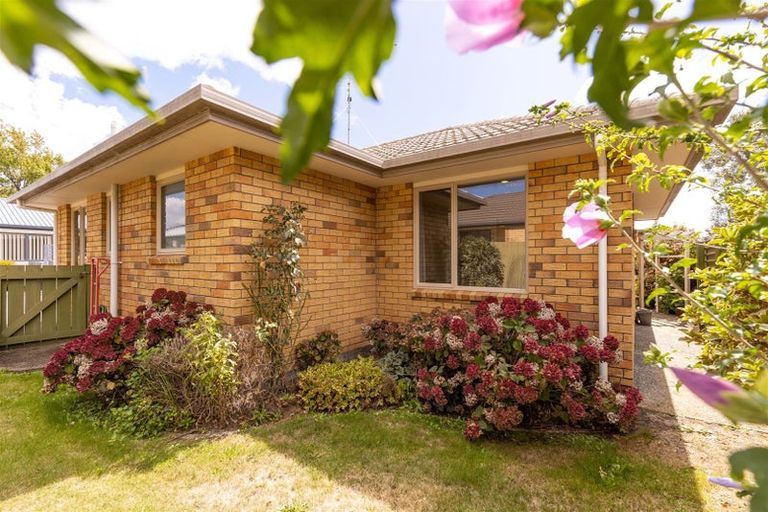 Photo of property in 33b Litchfield Street, Redwoodtown, Blenheim, 7201