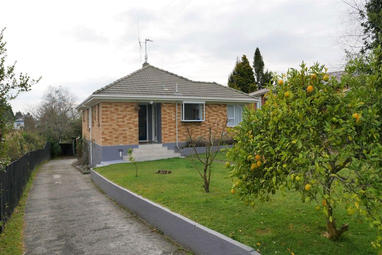 Photo of property in 135 Tirau Street, Putaruru, 3411