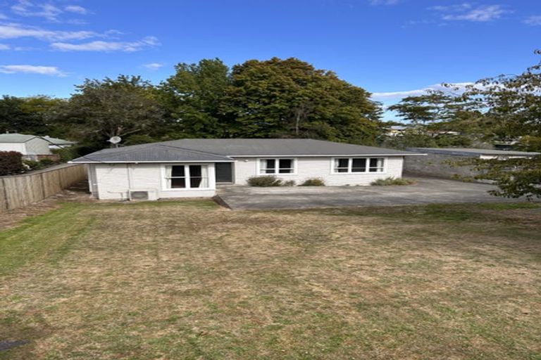 Photo of property in 111 Porangahau Road, Waipukurau, 4200
