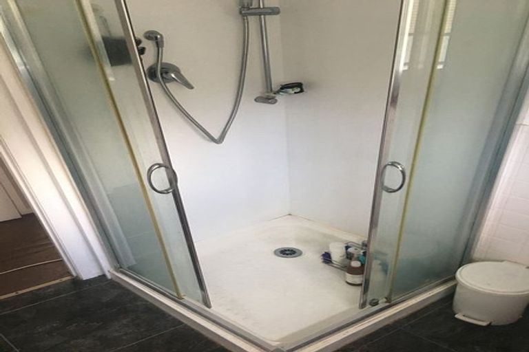 Photo of property in 4 Pearl Place, Chartwell, Hamilton, 3210