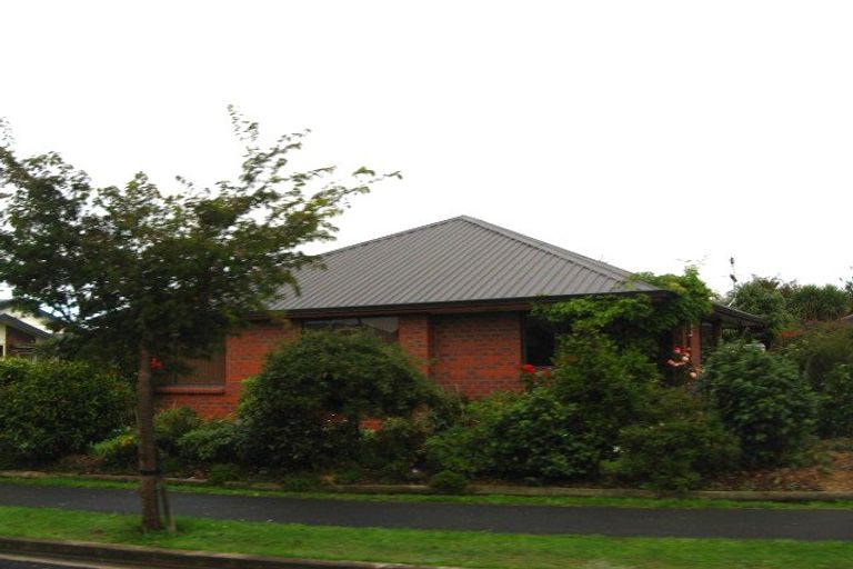 Photo of property in 14 Silverstream Drive, Mosgiel, 9024