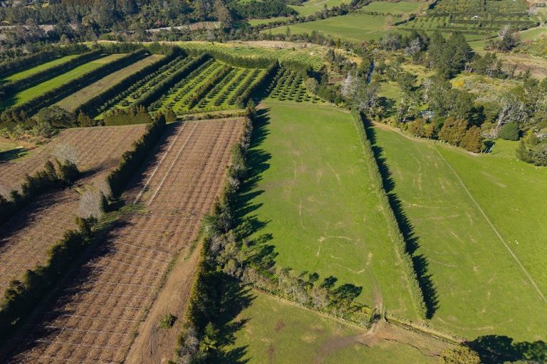 Photo of property in 353 Lockington Road, Aongatete, Katikati, 3181