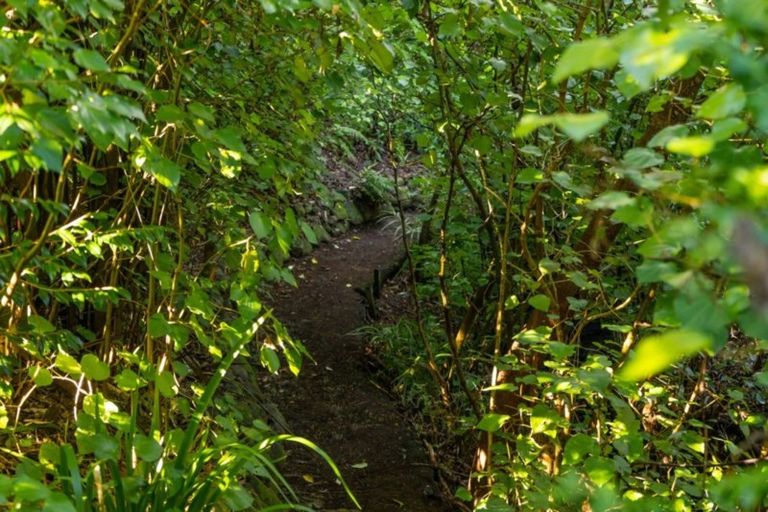 Photo of property in 43 Manuka Street, Lansdowne, Masterton, 5810