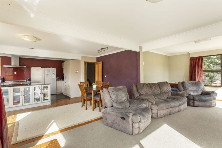 Photo of property in 3 Signal Hill Road, Opoho, Dunedin, 9010