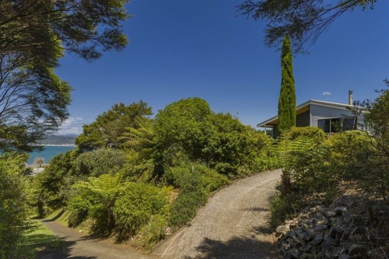 Photo of property in 13 Punga Place, Whitianga, 3510