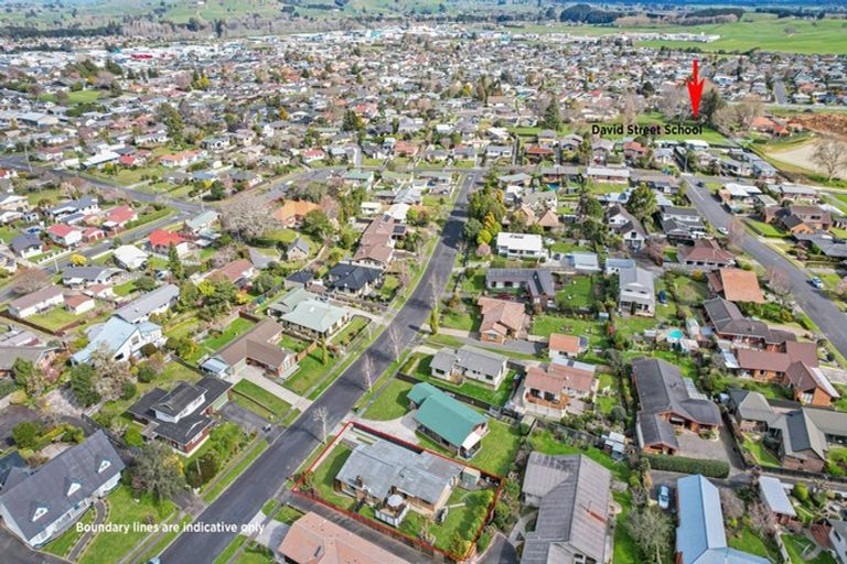 Photo of property in 17 Kowhai Avenue, Morrinsville, 3300