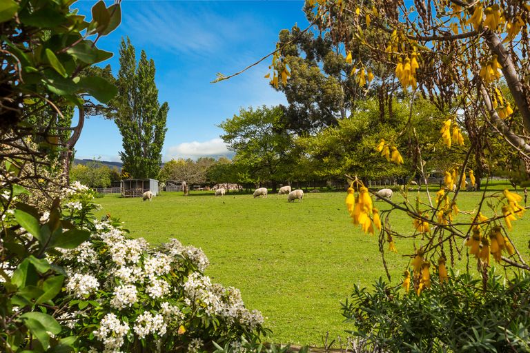 Photo of property in 11 Mallard Place, Mosgiel, 9024