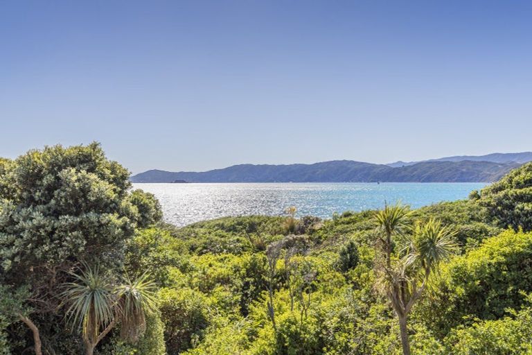 Photo of property in 29 Boardwalk Lane, Seatoun, Wellington, 6022