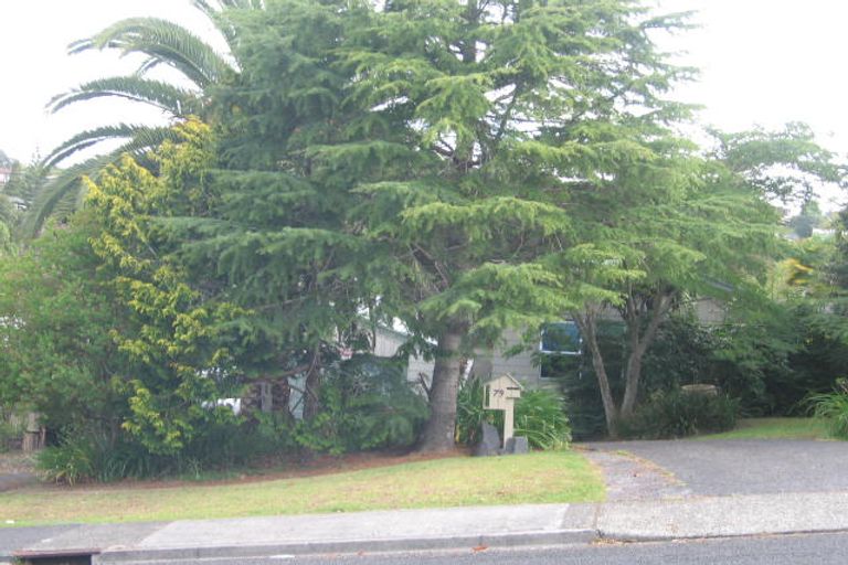 Photo of property in 79 Girrahween Drive, Totara Vale, Auckland, 0629