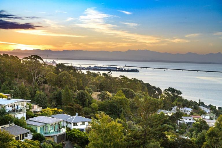 Photo of property in 13 Chamerion Way, Atawhai, Nelson, 7010