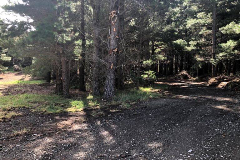 Photo of property in 2175 Inland Road, Lyford, Waiau, 7395