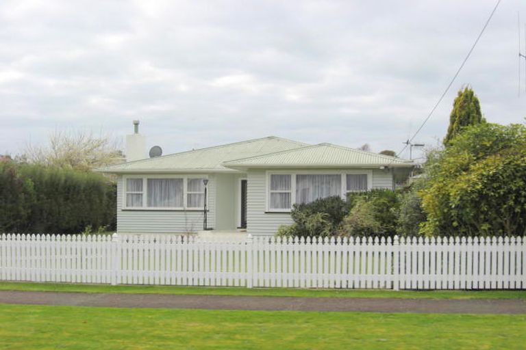 Photo of property in 20 Dudley Street, Levin, 5510