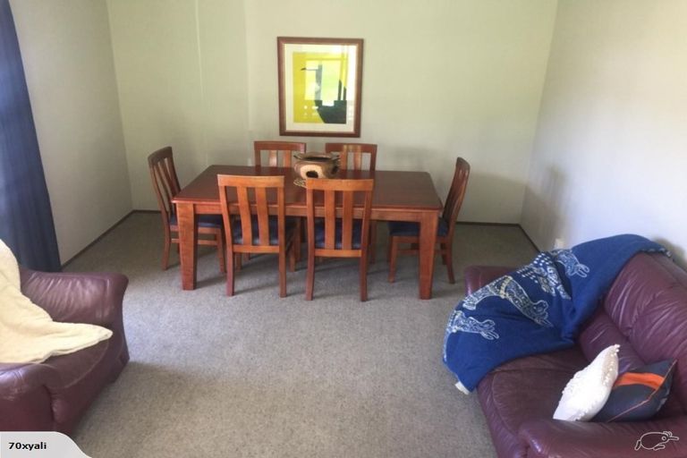 Photo of property in 15 Ness Street, Naseby, 9396