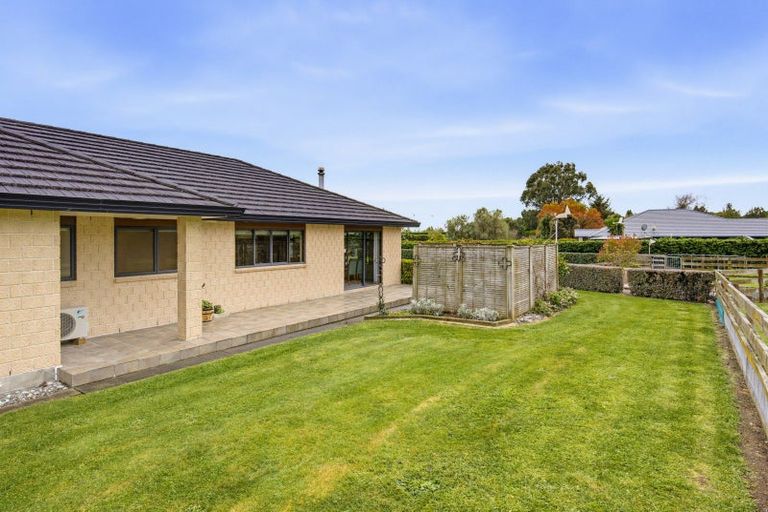 Photo of property in 53 Pohutukawa Drive, Levin, 5571