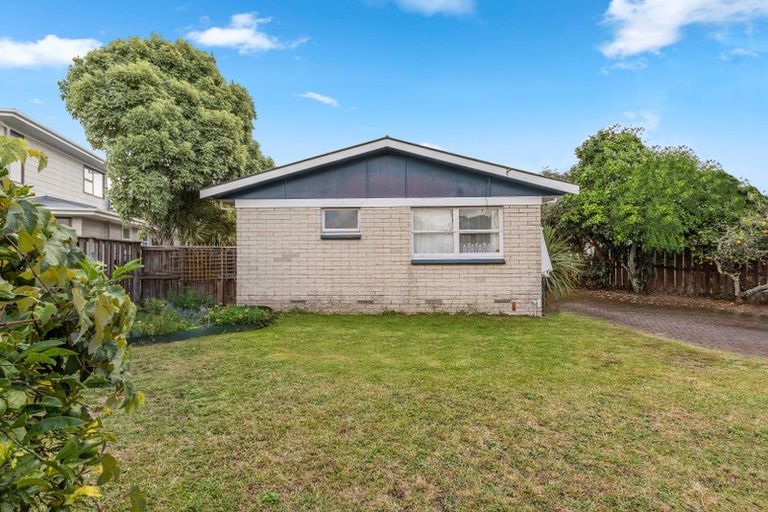 Photo of property in 82 Fitzroy Avenue, Fitzroy, Hamilton, 3206
