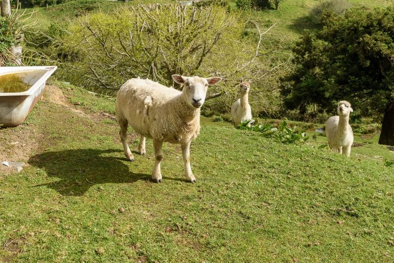 Photo of property in 94 Darraghs Road, Brookfield, Tauranga, 3110