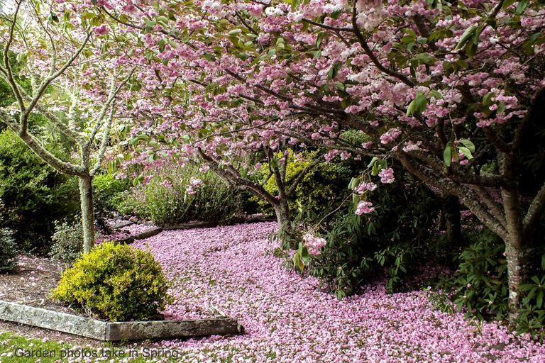 Photo of property in 529 Whangamata Road, Kinloch, Taupo, 3377