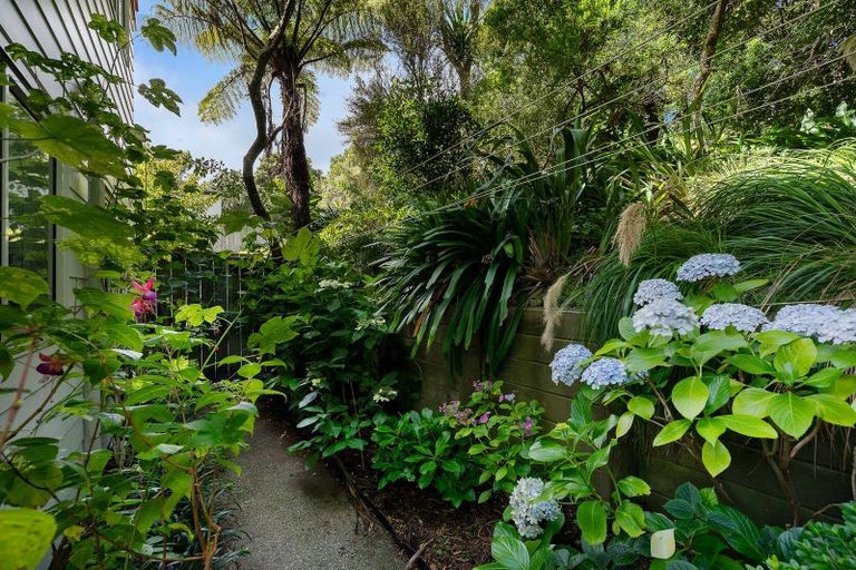 Photo of property in 55 John Sims Drive, Broadmeadows, Wellington, 6035